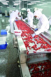 山東北大荒果蔬產(chǎn)品暢銷美歐等20多個(gè)國家和地區(qū)