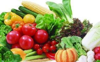 山西科普惠農(nóng)特色優(yōu)質(zhì)農(nóng)產(chǎn)品展銷會(huì)盛大開(kāi)幕，花卉產(chǎn)業(yè)綻放異彩