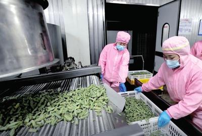 資本入局，電商煥新 生態(tài)循環(huán)農(nóng)業(yè)與農(nóng)村電商共繪鄉(xiāng)村振興新圖景