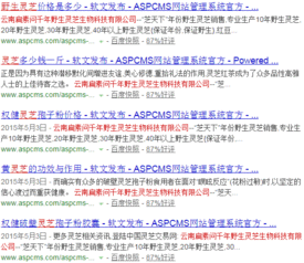企業(yè)網(wǎng)絡(luò)營銷與品牌推廣的全方位策劃方案